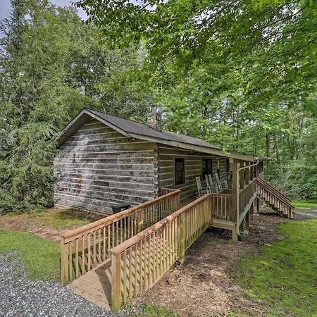 Cozy 'Grey Fox' Cabin Between Boone & بيوينغ روك المظهر الخارجي الصورة